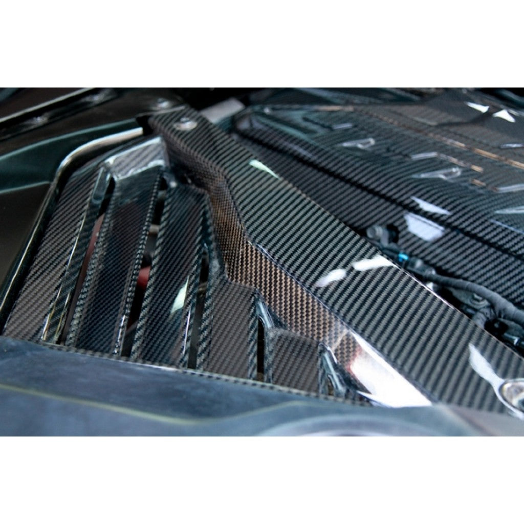 Carbon Fiber Engine Plenum Cover and Appearance Panels Package-Chevrolet C8 Corvette