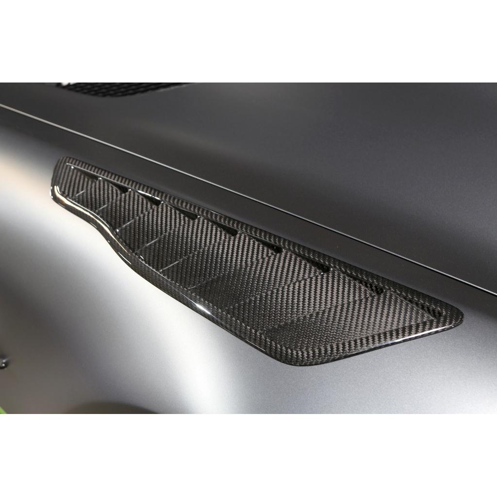Carbon Fiber Fender Vents-2020 Mercedes Benz AMG GTR Pro