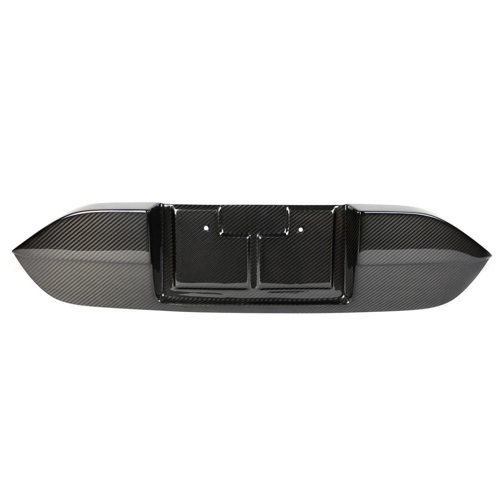 Carbon Fiber License Plate Backing- Honda FK8 Civic Type R 2017 - 2021
