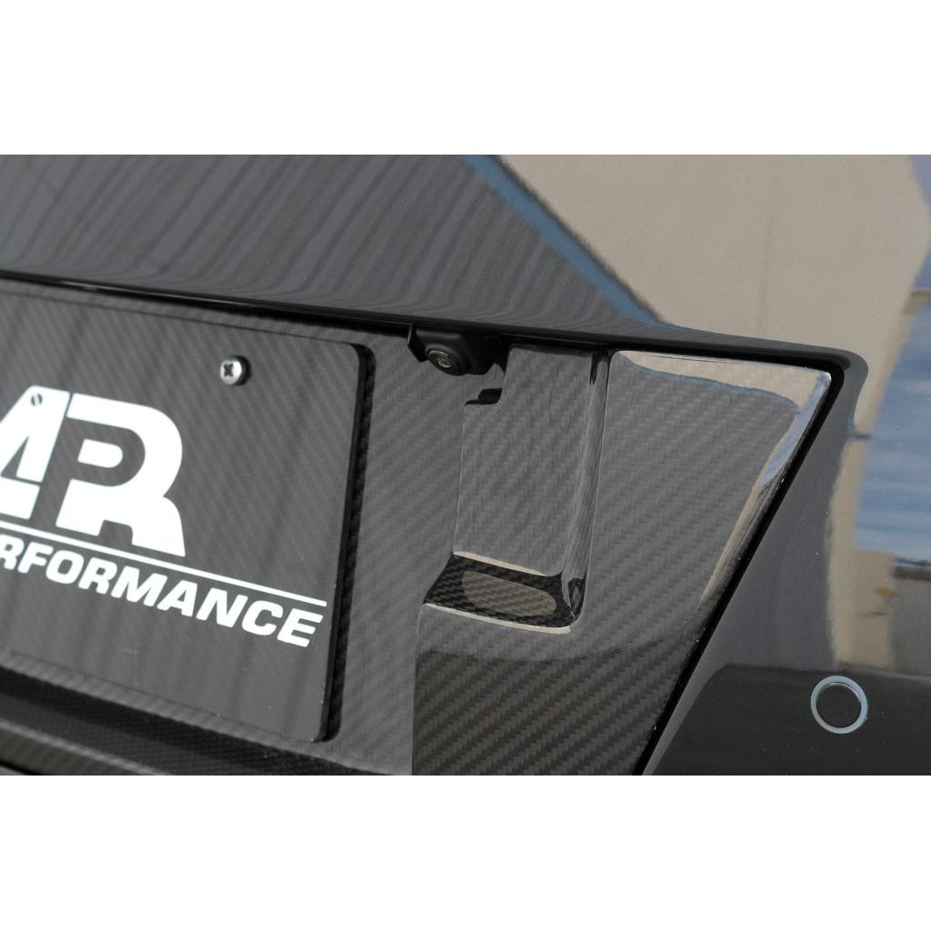 Carbon Fiber License Plate Backing- 2017-2022 Nissan R35 GTR