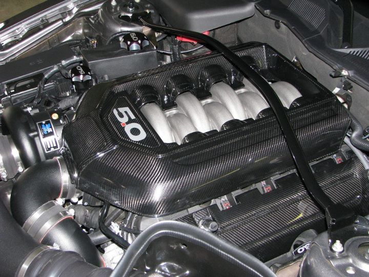 Carbon Fiber Engine Plenum Cover-Ford Mustang GT 5.0  2011-2014 (Manual Trans)