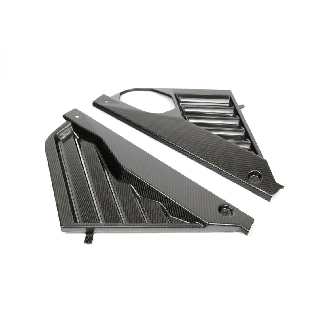 Carbon Fiber Engine Plenum Cover and Appearance Panels Package-Chevrolet C8  Corvette