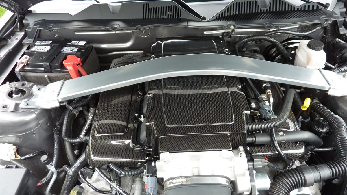 Carbon Fiber  Fuel Rail Covers- 2005-2010 Mustang