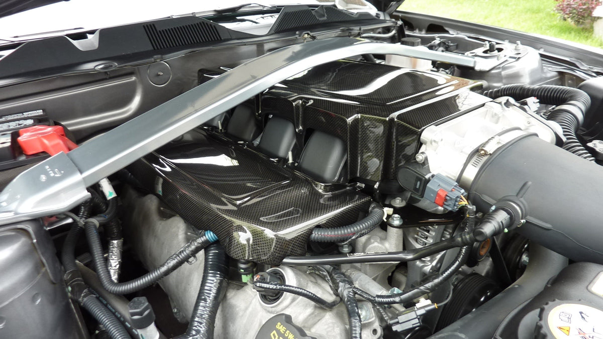 Carbon Fiber  Fuel Rail Covers- 2005-2010 Mustang