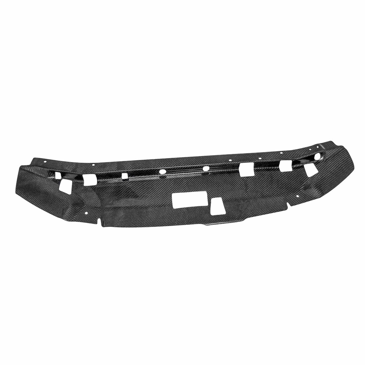 Seibon Carbon Fiber cooling plate for 1999-2002 Nissan Skyline R34 GT-R