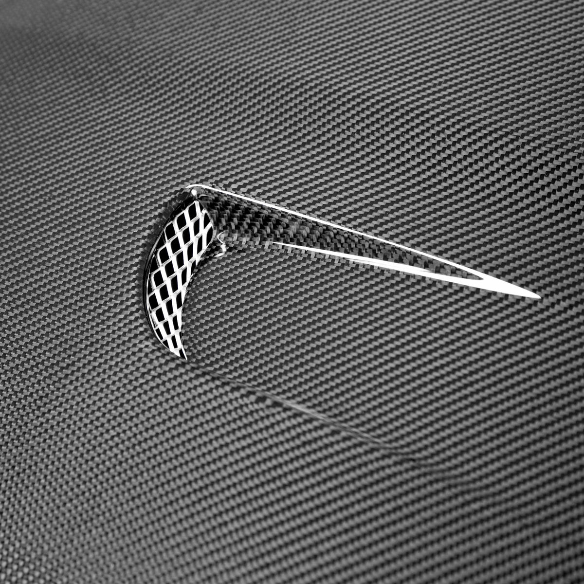Seibon TM-Style Carbon Fiber Hood for 2014-2019 Ford Fiesta